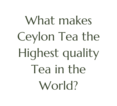 What makes Ceylon Tea the Highest quality Tea in the World